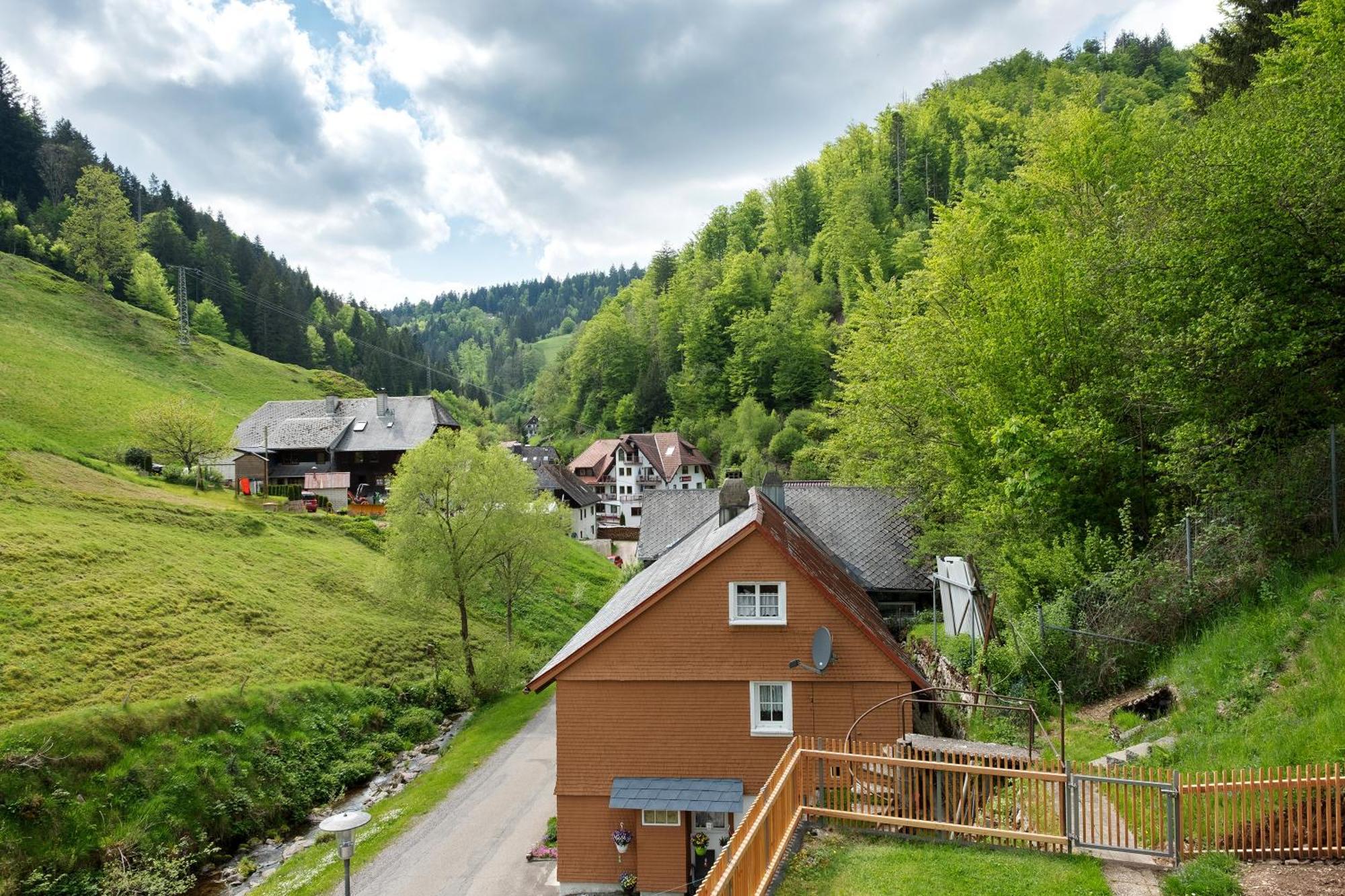 Ferienwohnung Glashuette Sankt Märgen エクステリア 写真